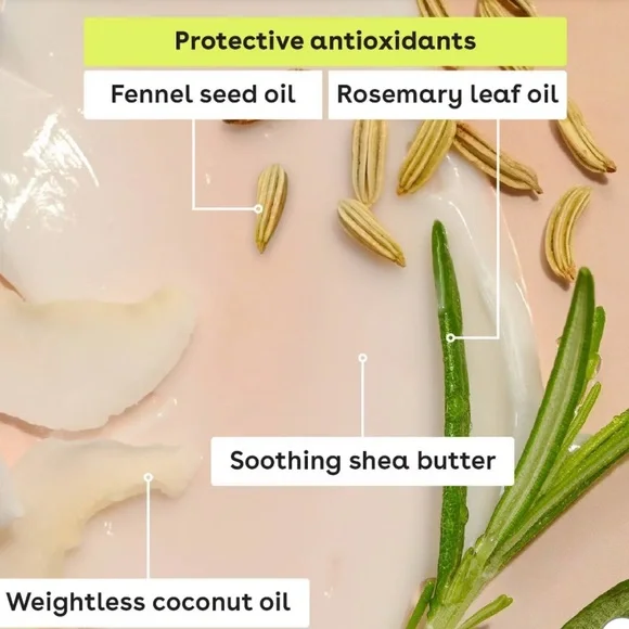 EOS | Bundle Natural Lip Balm Organic 4 Pack Smooth Balm Natural Classic & Minty - Picture 9 of 16